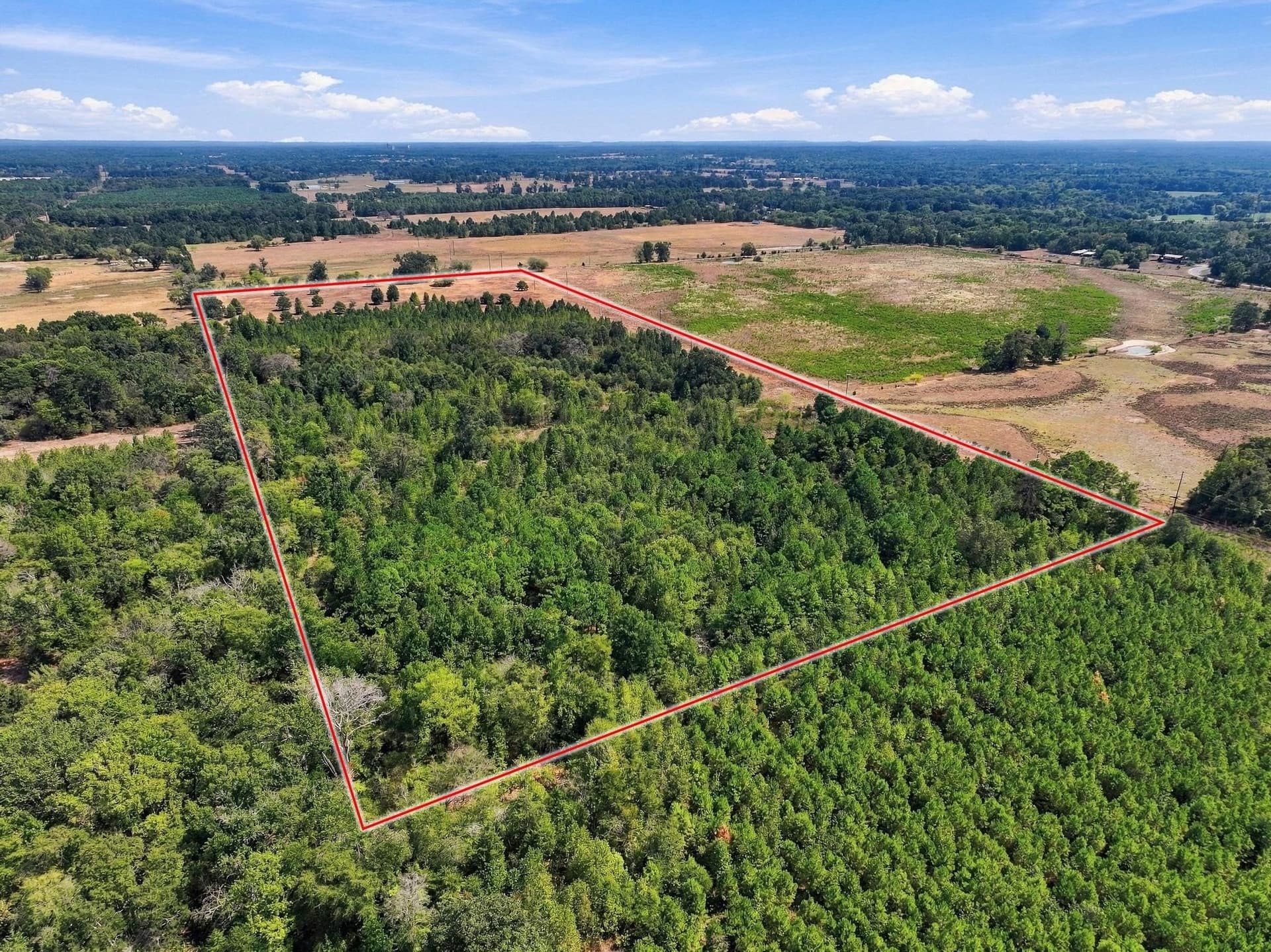 40.54 acres in Camp County - photo 19