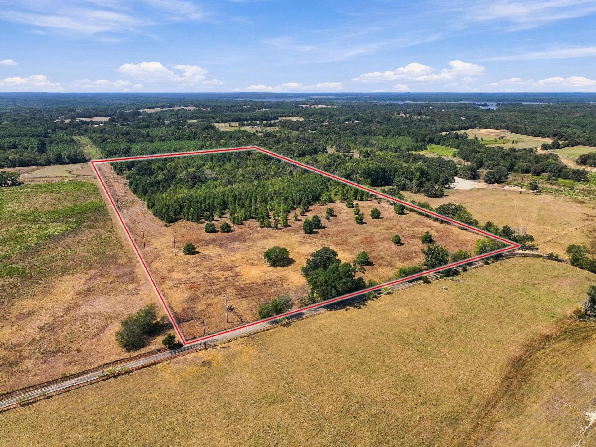 40.54 acres in Camp County - photo 2