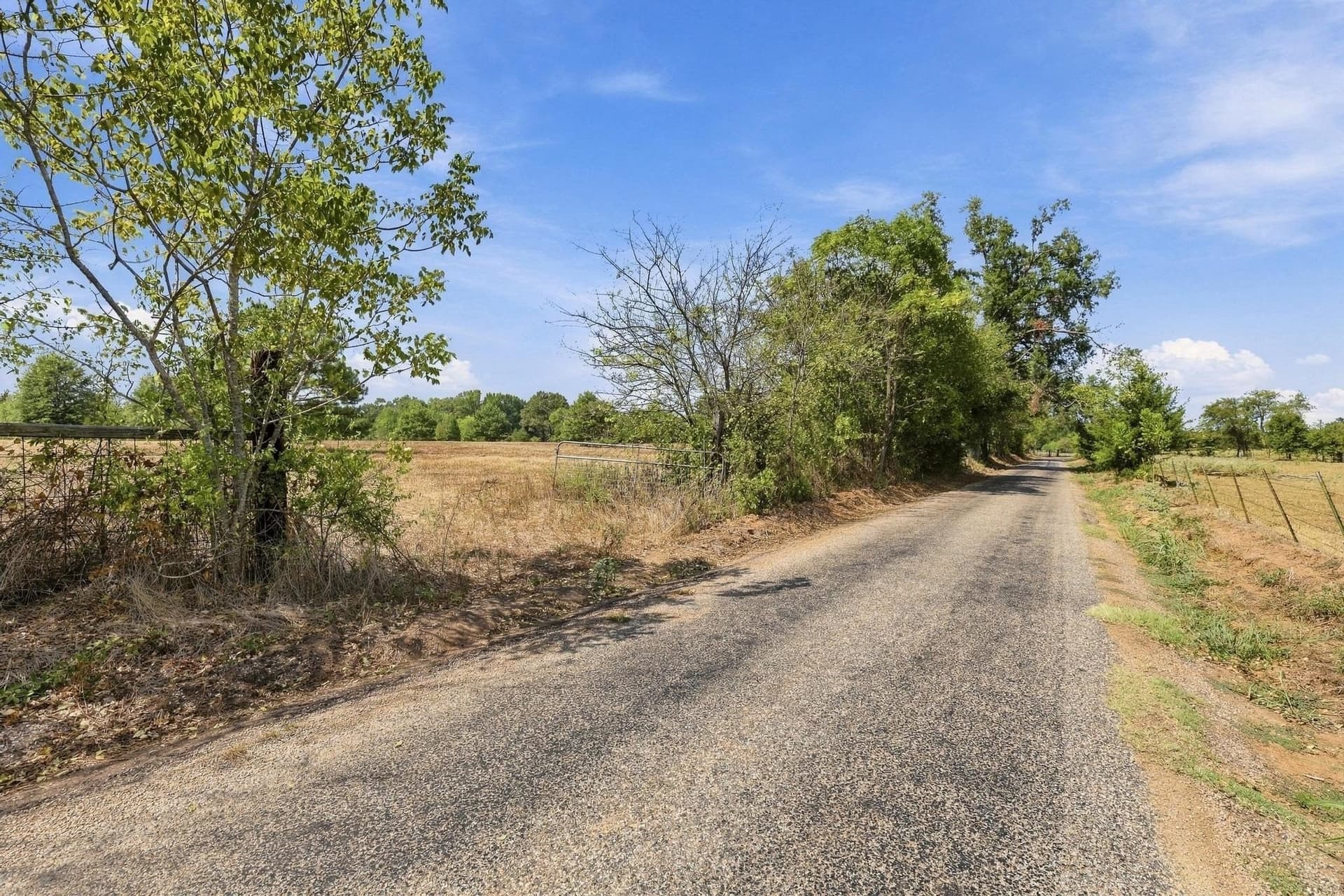 40.54 acres in Camp County - photo 22