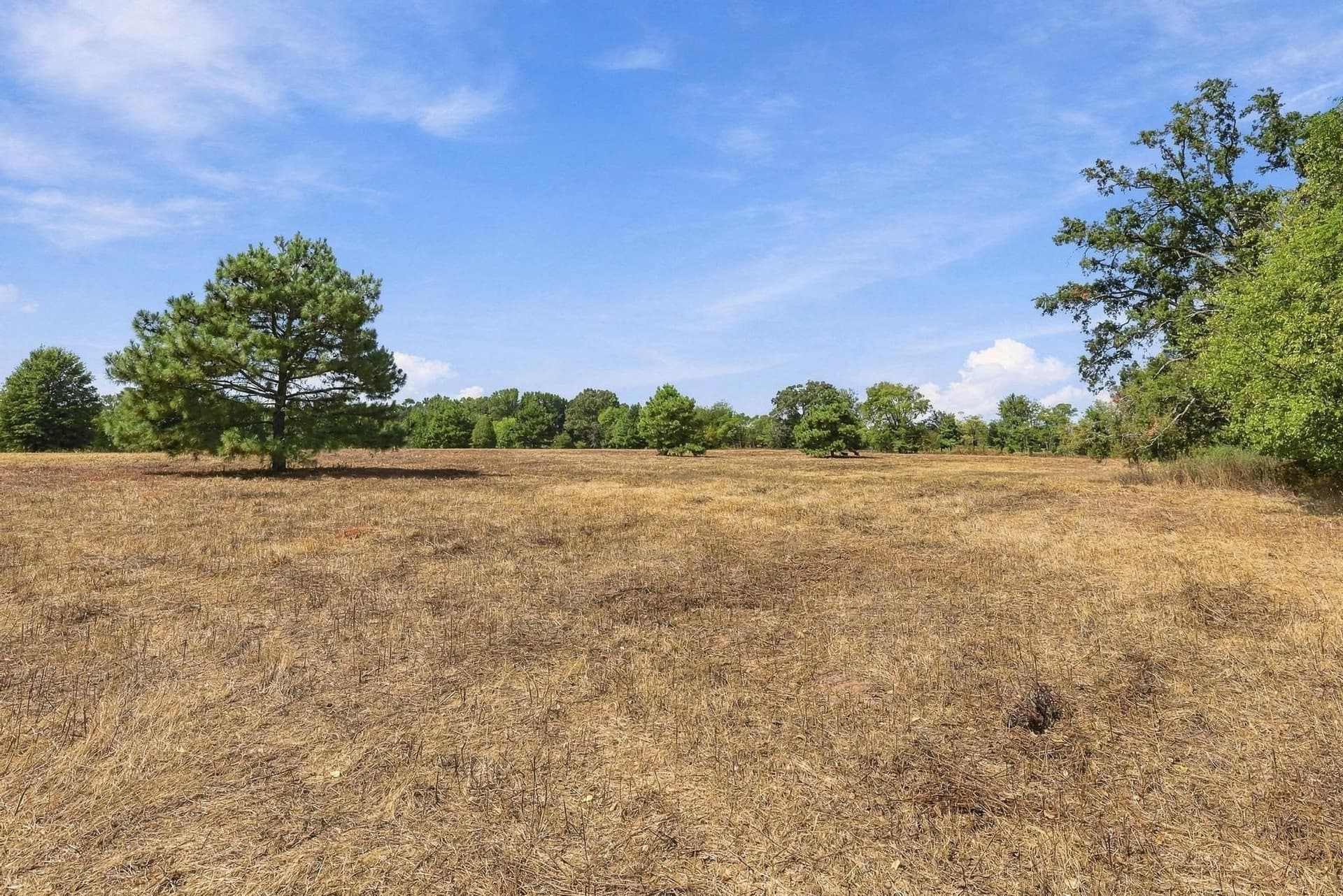 40.54 acres in Camp County - photo 23