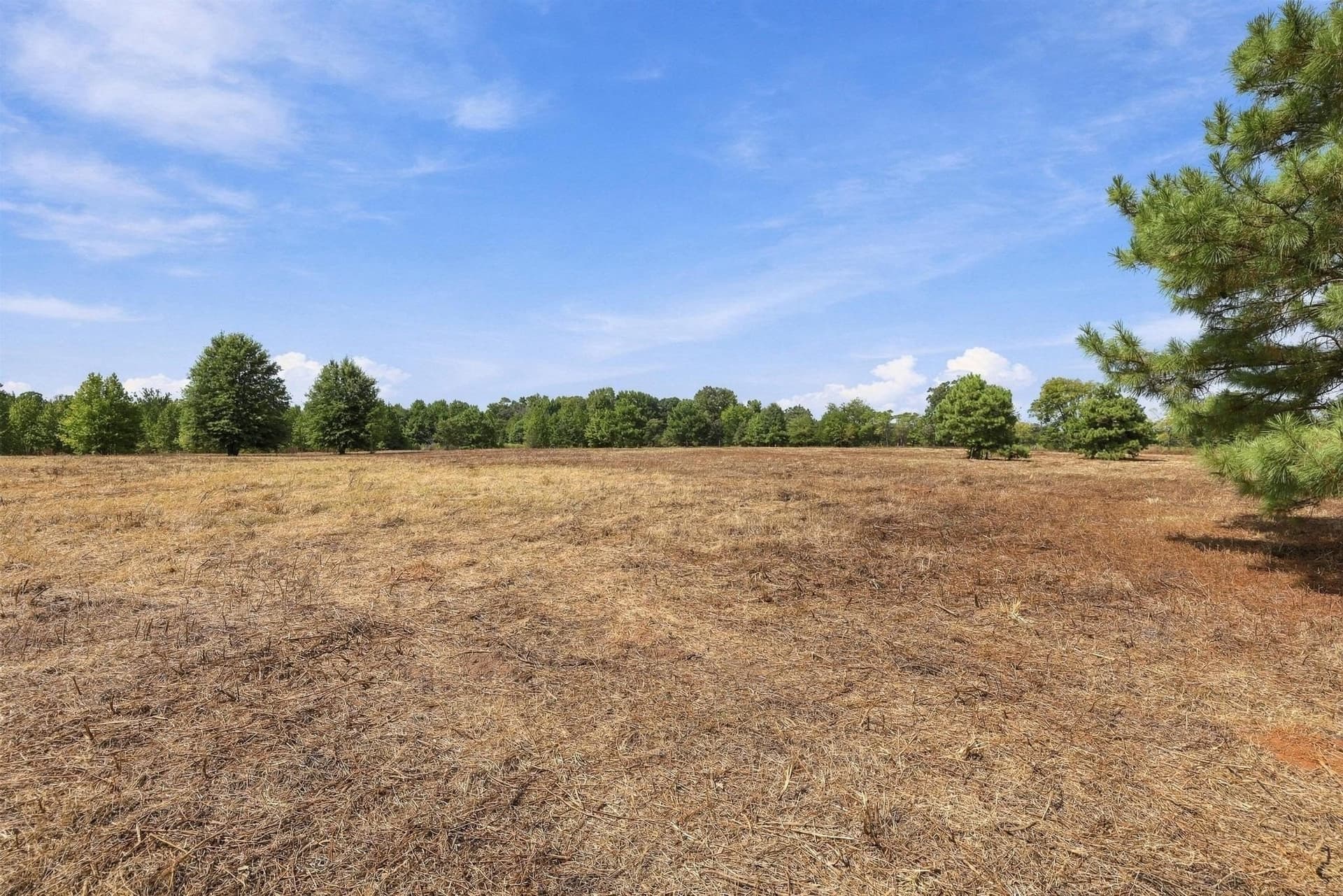 40.54 acres in Camp County - photo 26