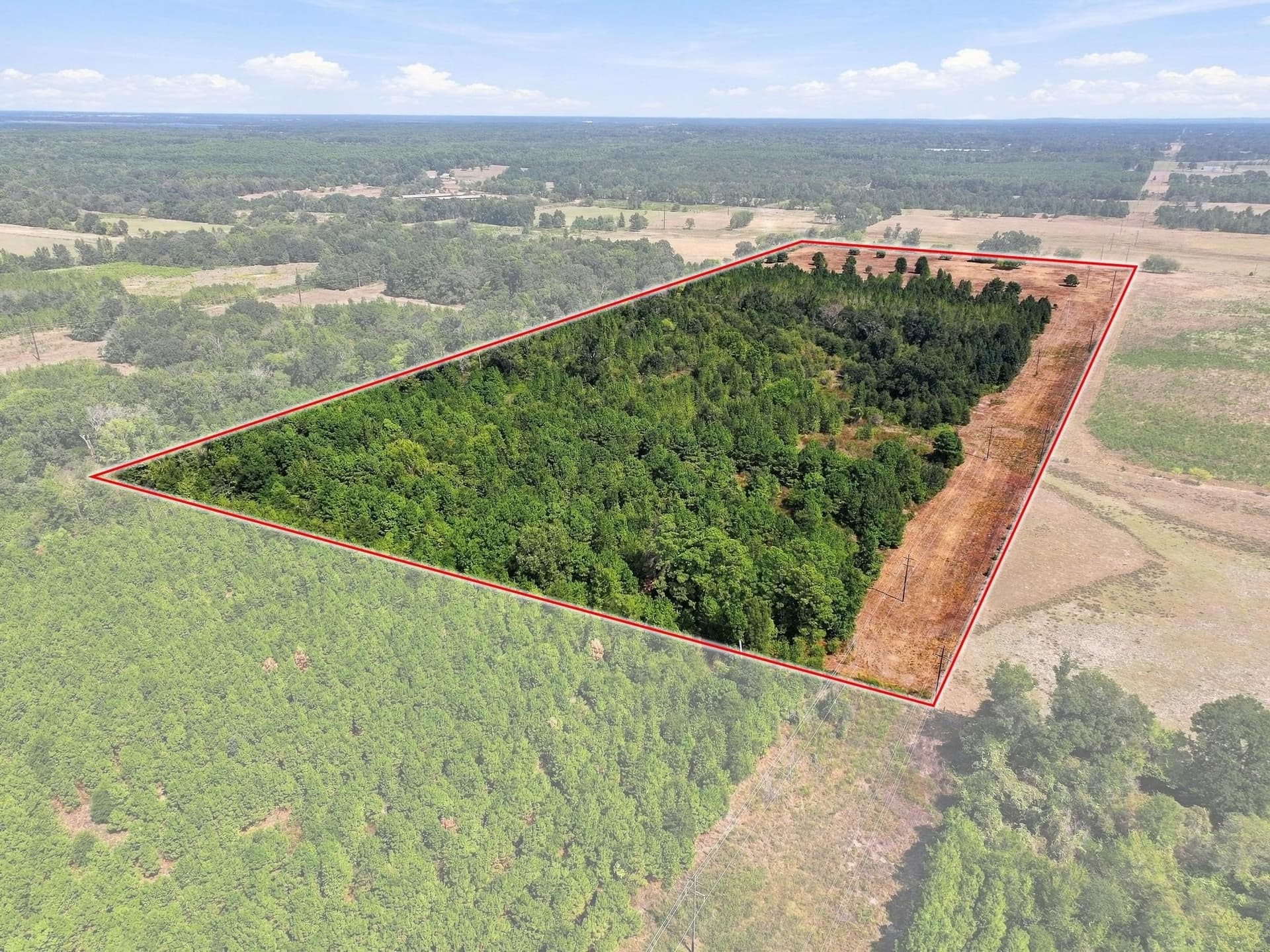 40.54 acres in Camp County - photo 12