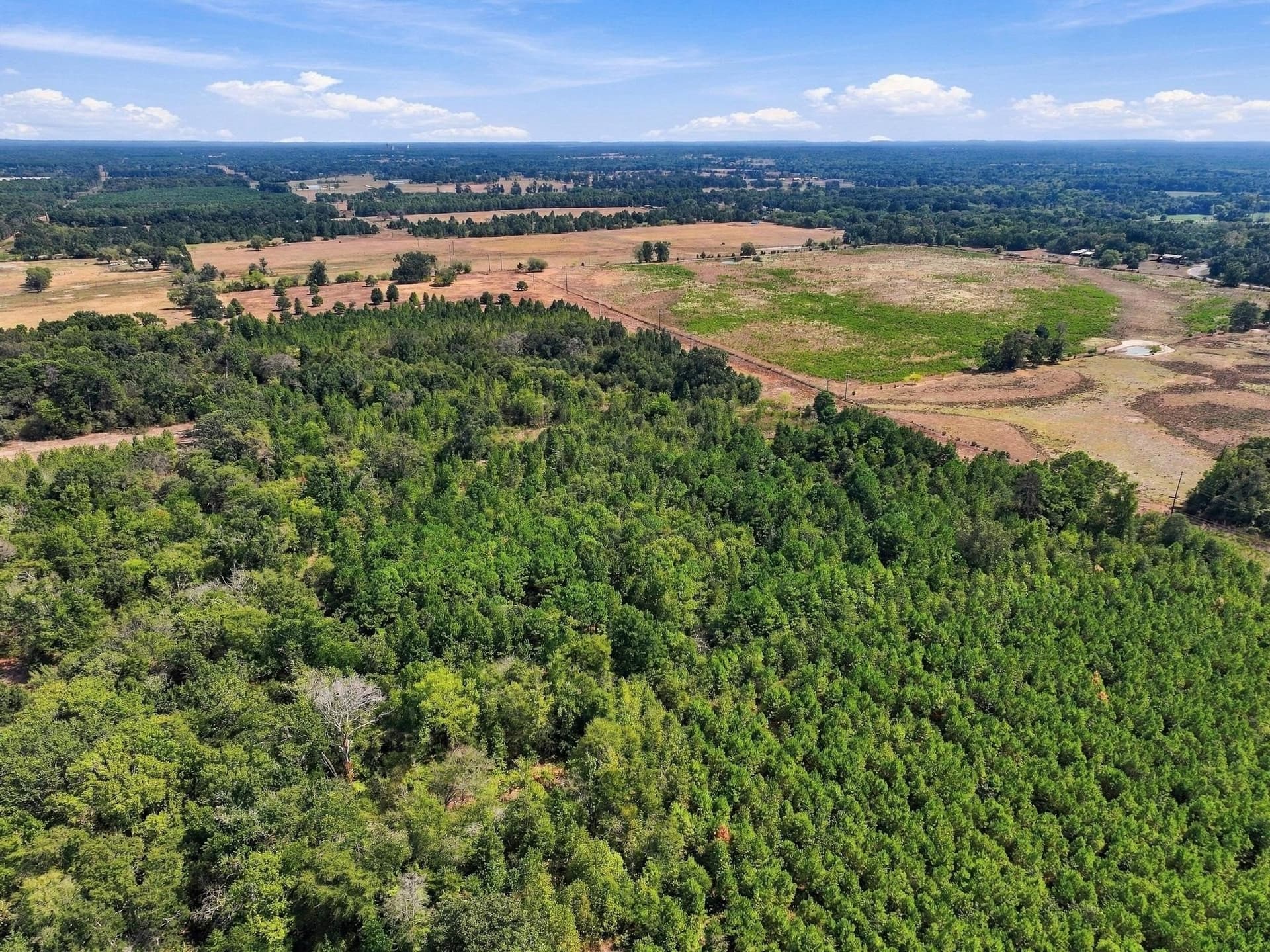 40.54 acres in Camp County - photo 20