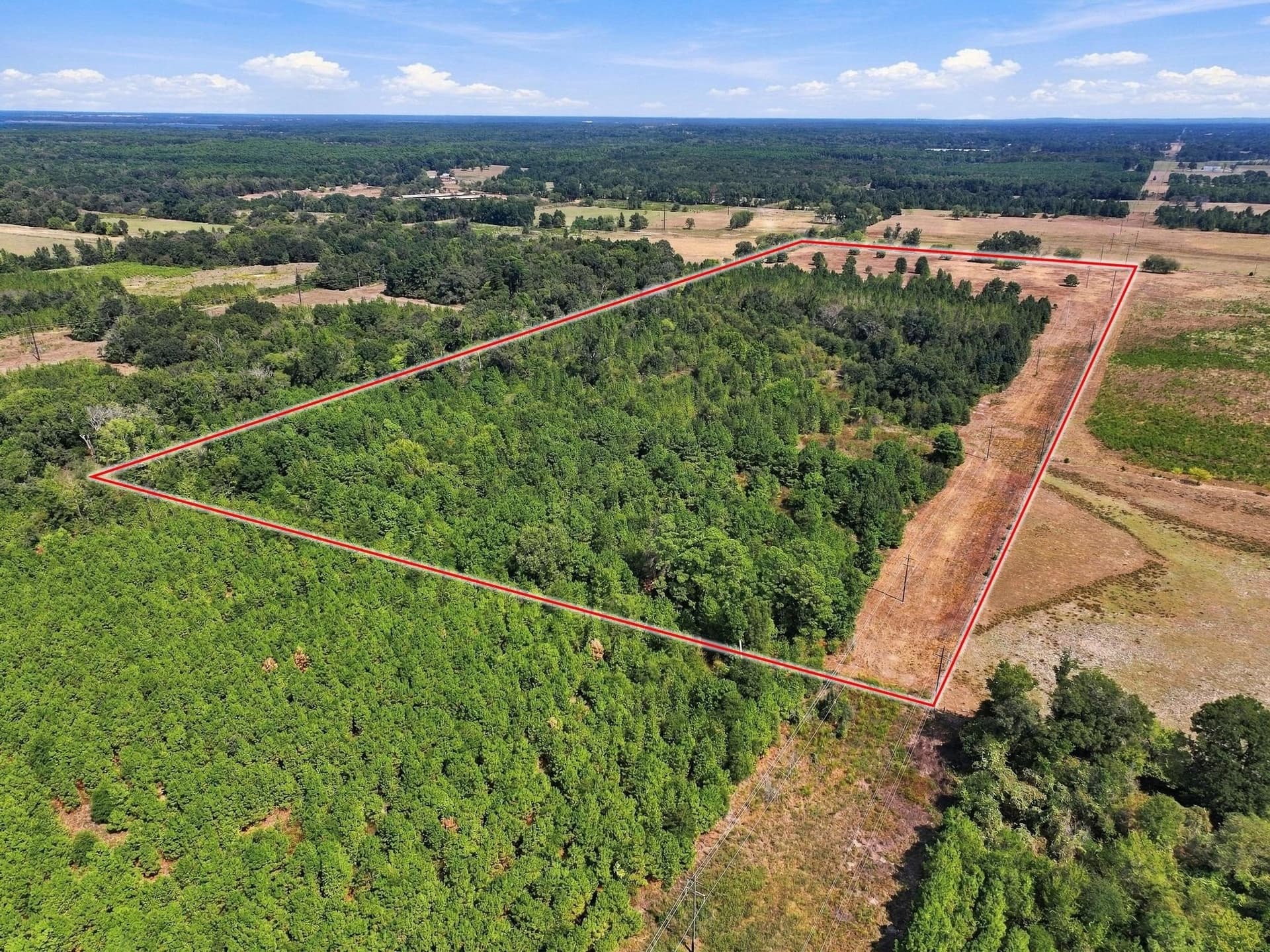 40.54 acres in Camp County - photo 13