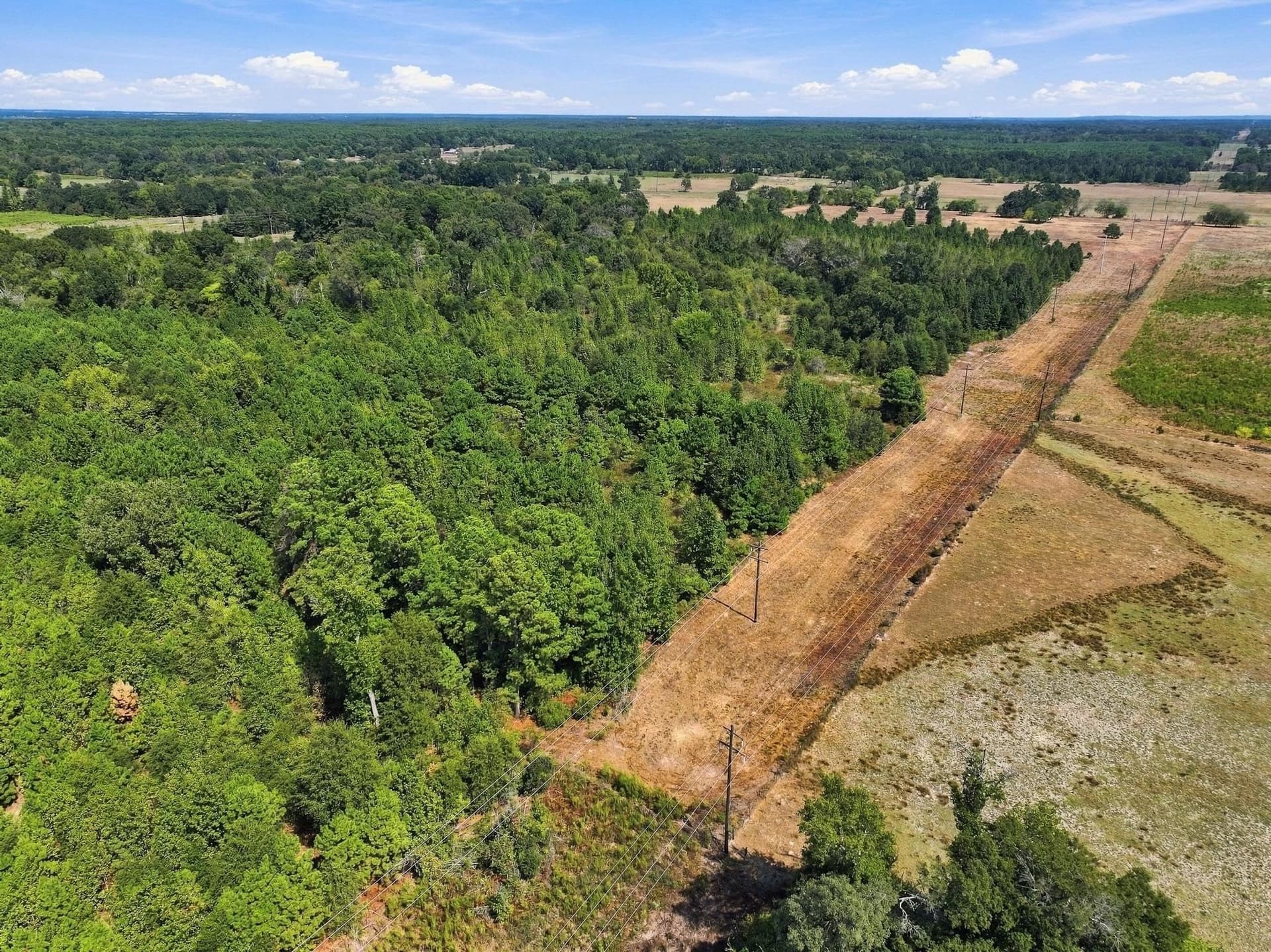 40.54 acres in Camp County - photo 11