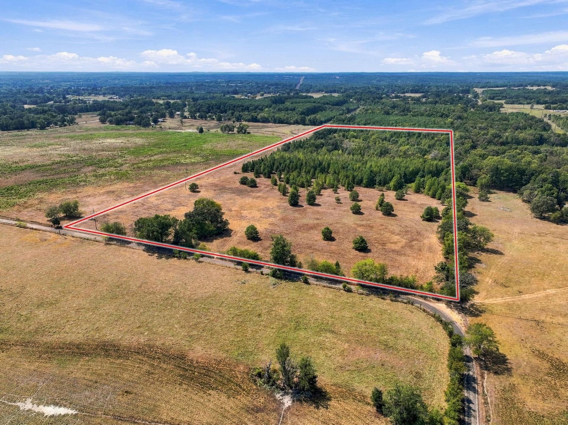 40.54 acres in Camp County - photo 8