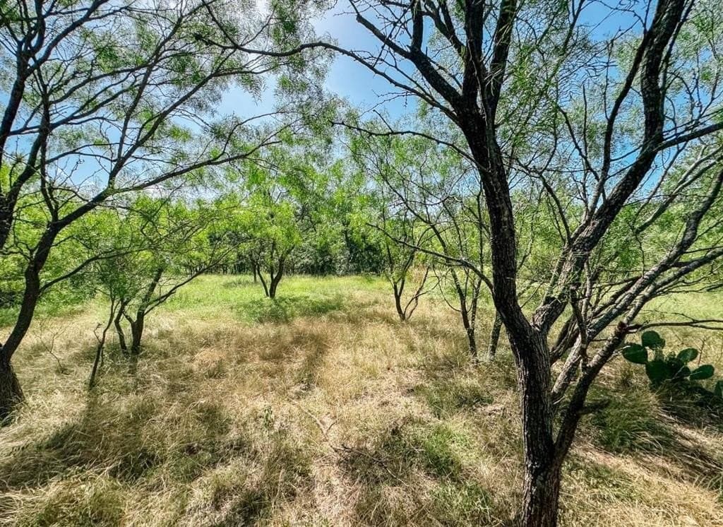 12 acres in Brown County gallery image 4