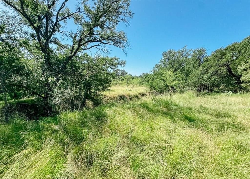 12 acres in Brown County gallery image 2