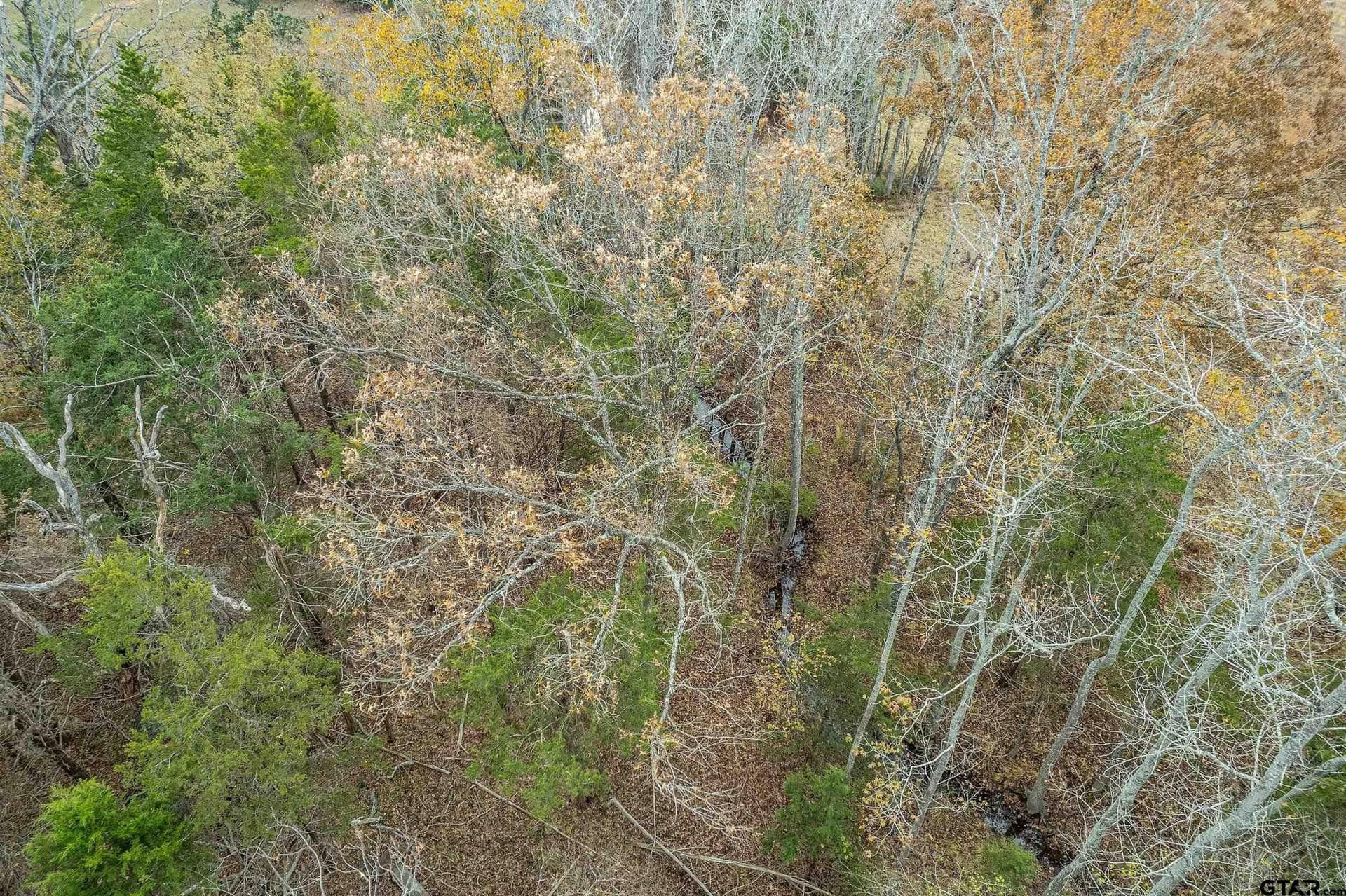 5.39 acres in Smith County - photo 15