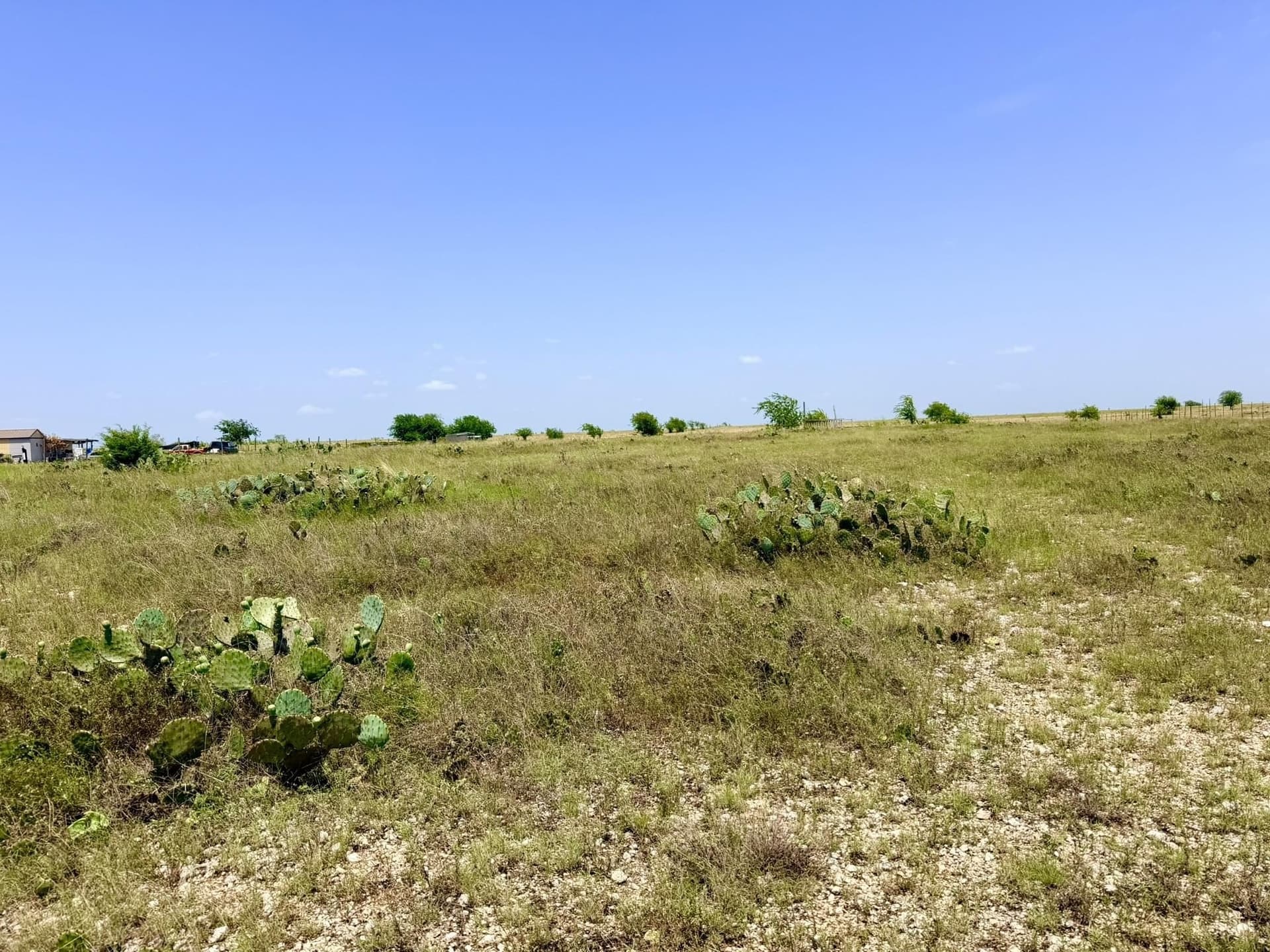 5 acres in Burnet County - photo 9