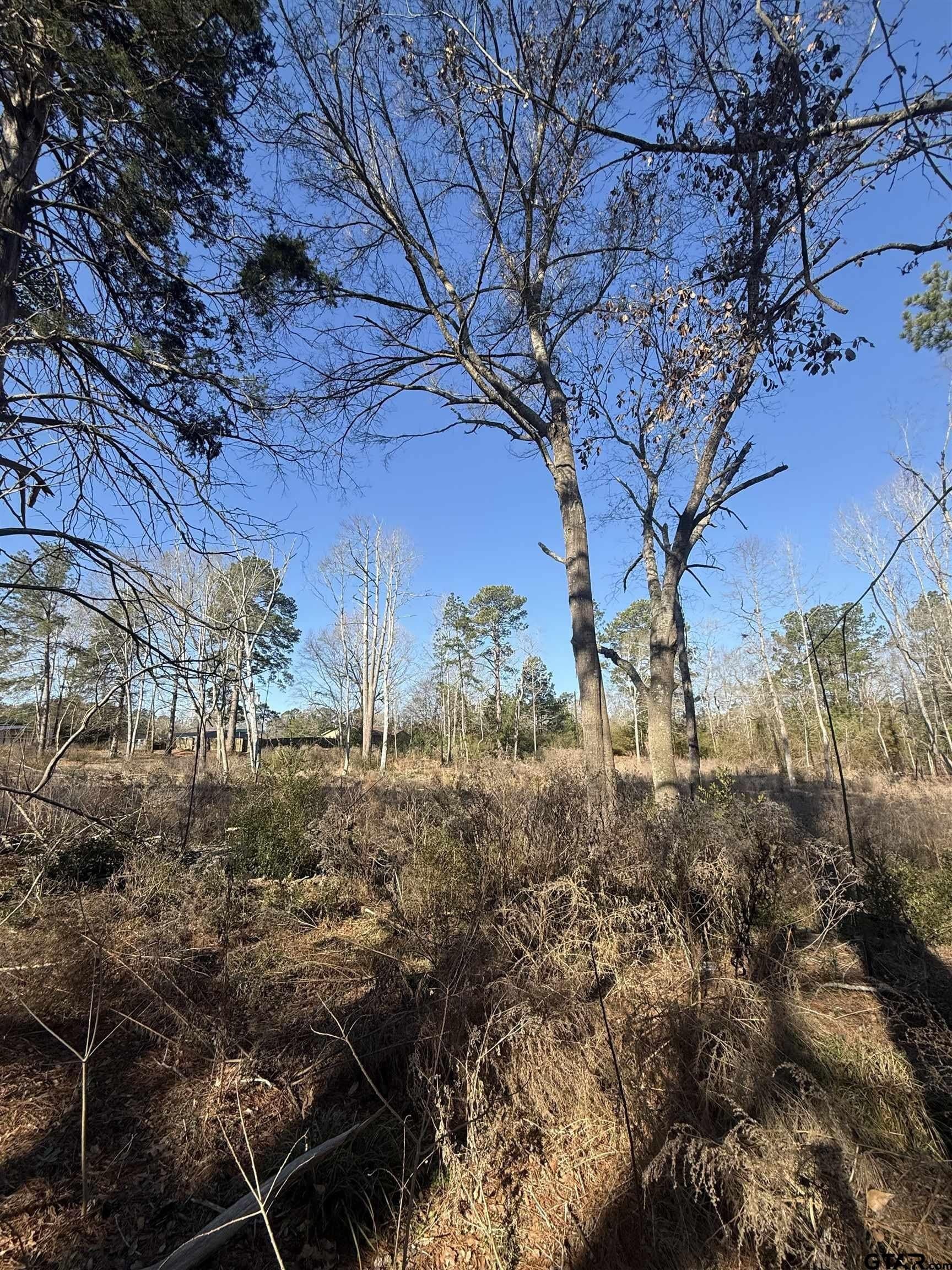 2.77 acres in Rusk County gallery image 3