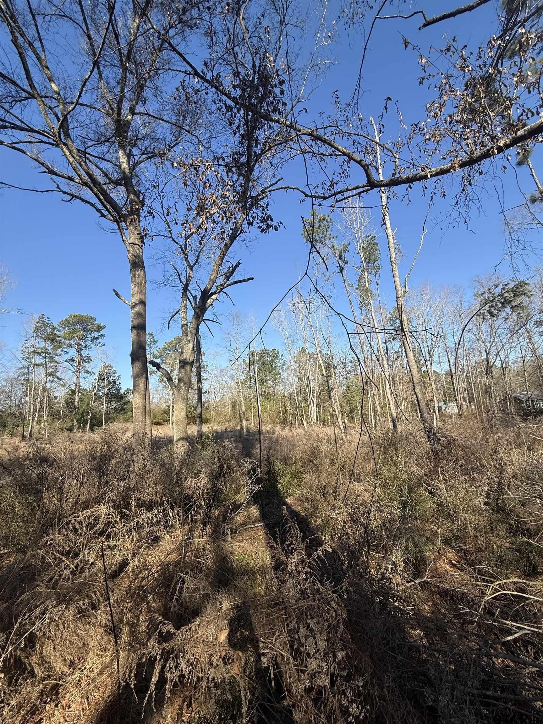 2.77 acres in Rusk County gallery image 4