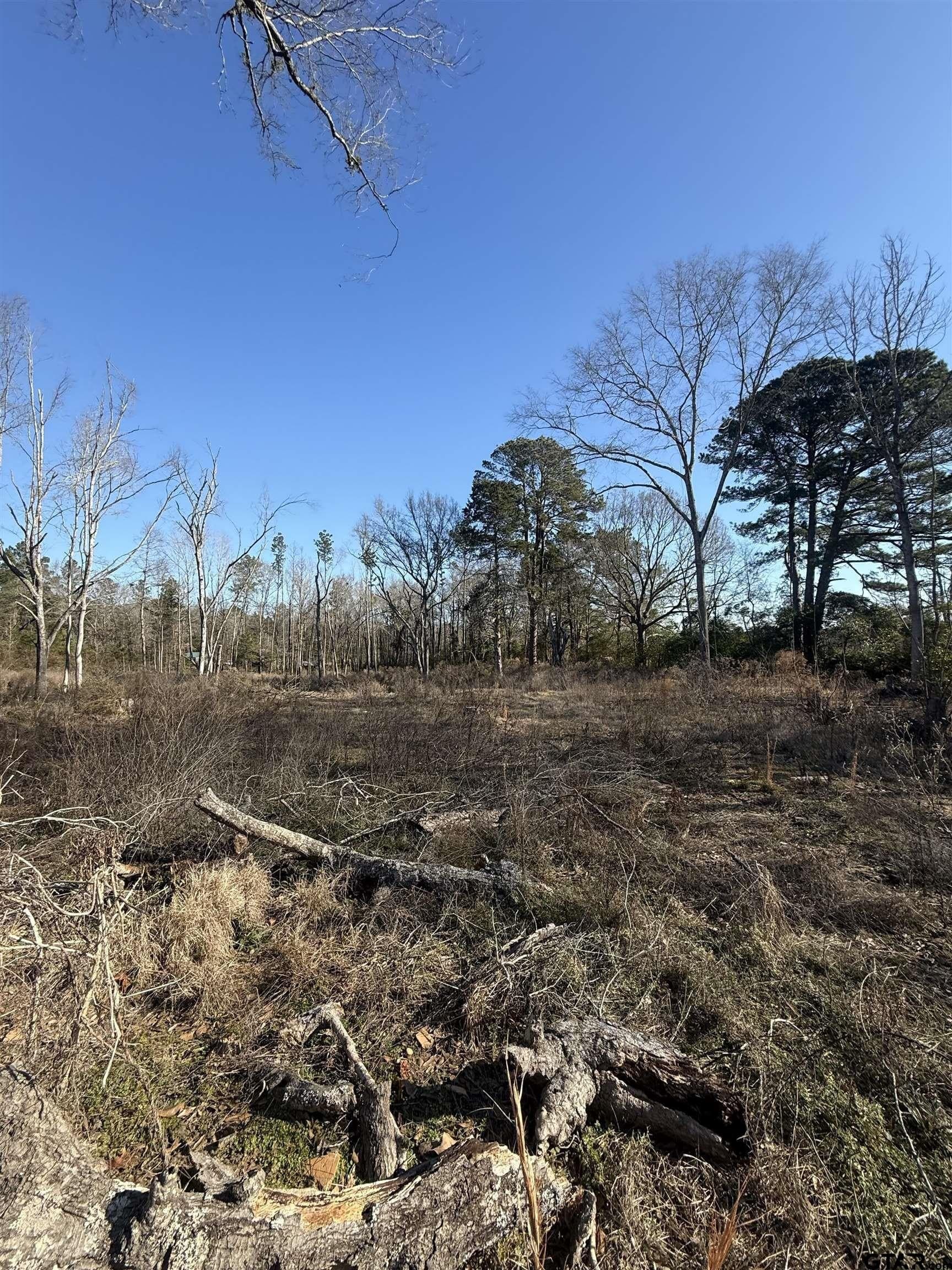 2.77 acres in Rusk County gallery image 2
