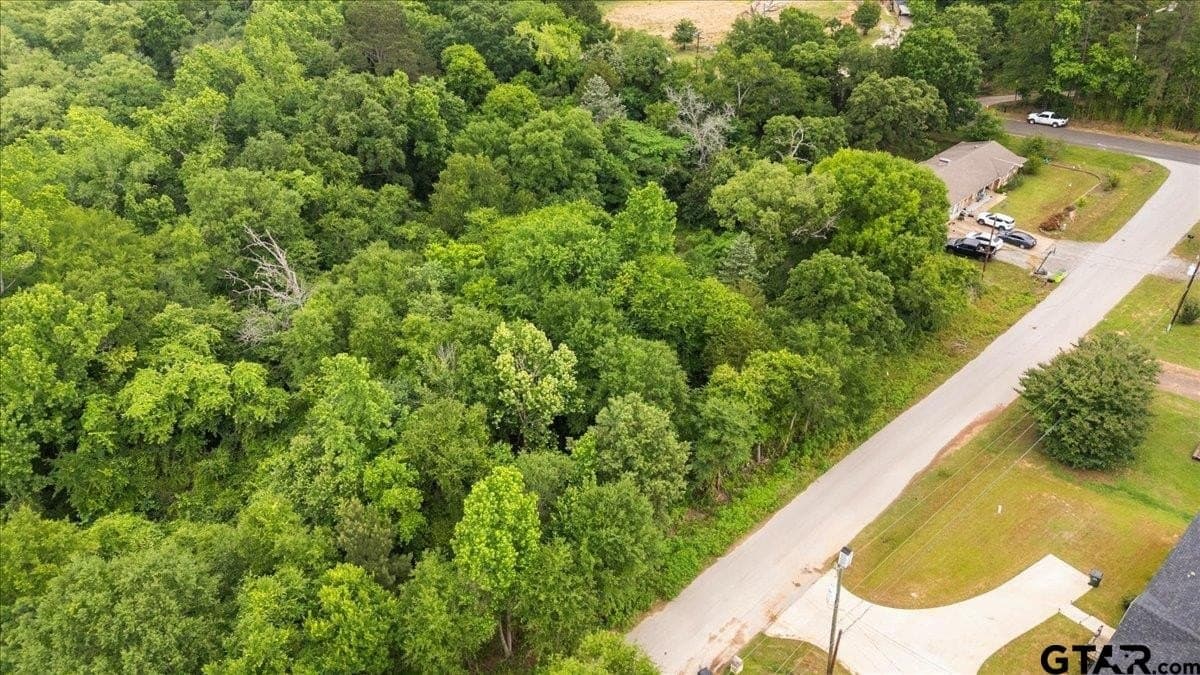 0.35 acres in Smith County - photo 9