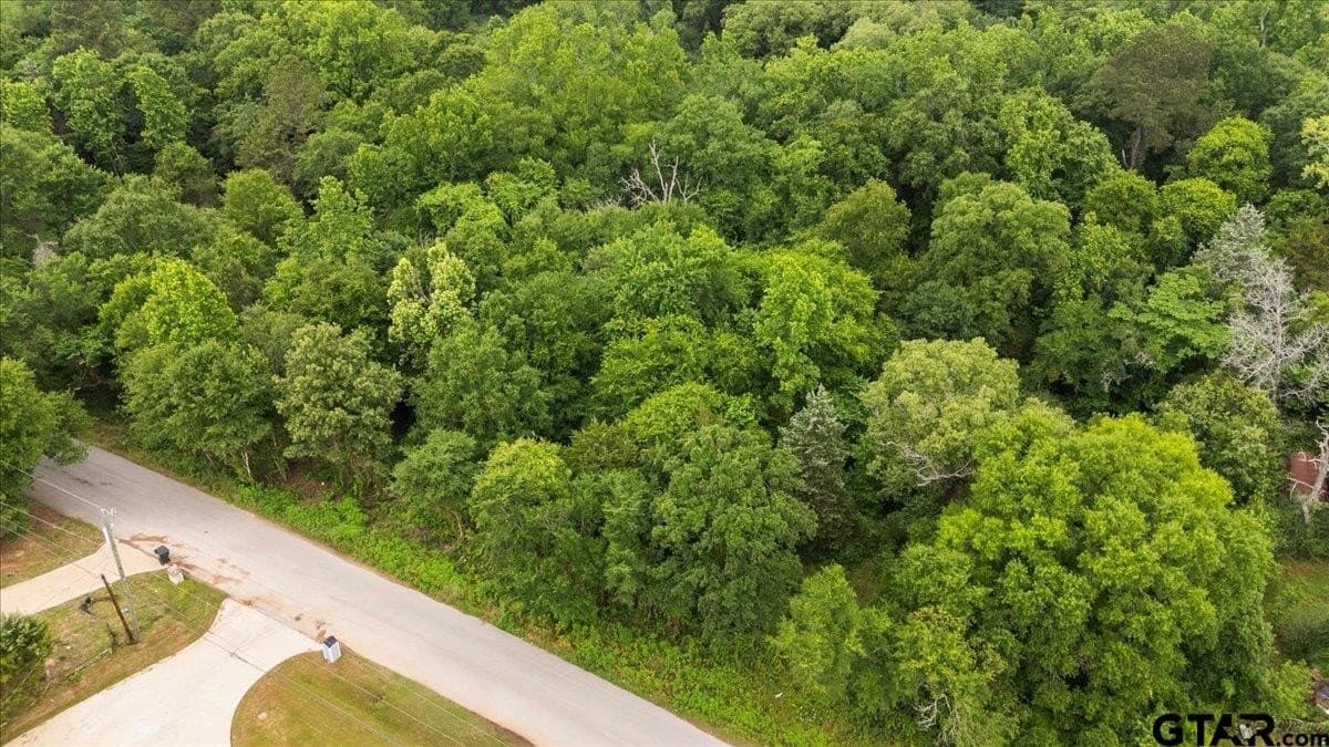 0.35 acres in Smith County - photo 10
