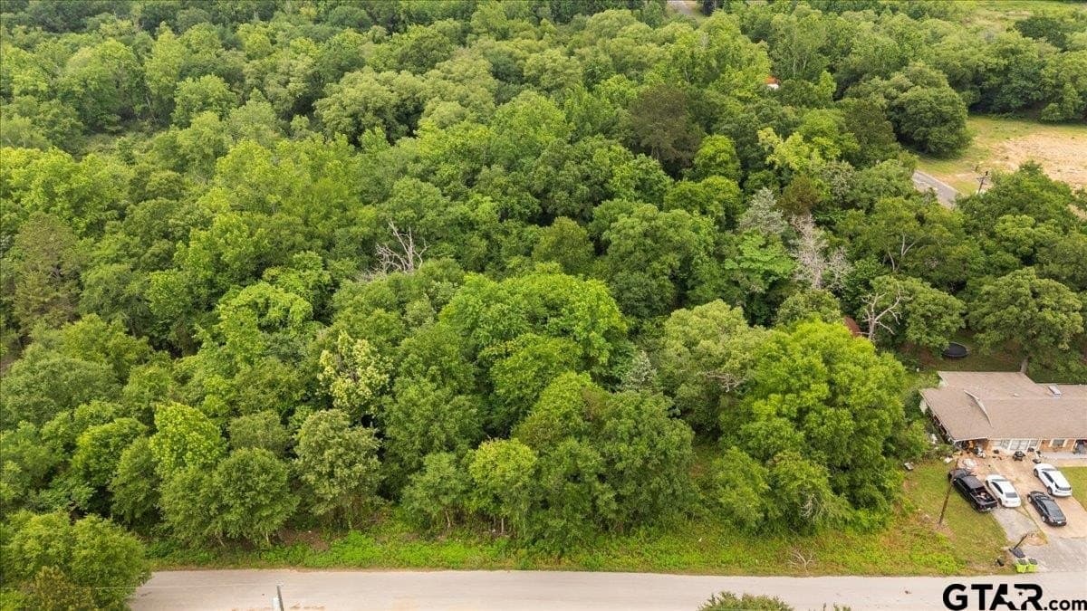 0.35 acres in Smith County - photo 8