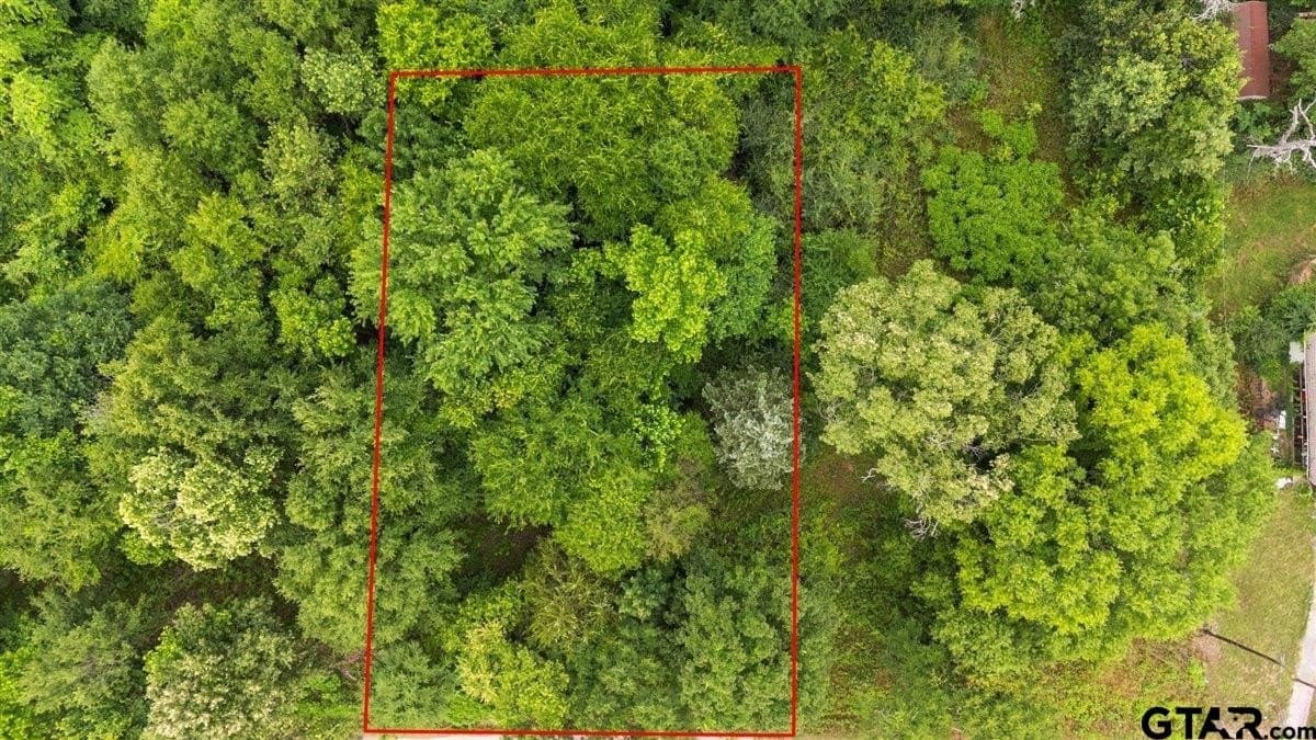 0.35 acres in Smith County gallery image 4