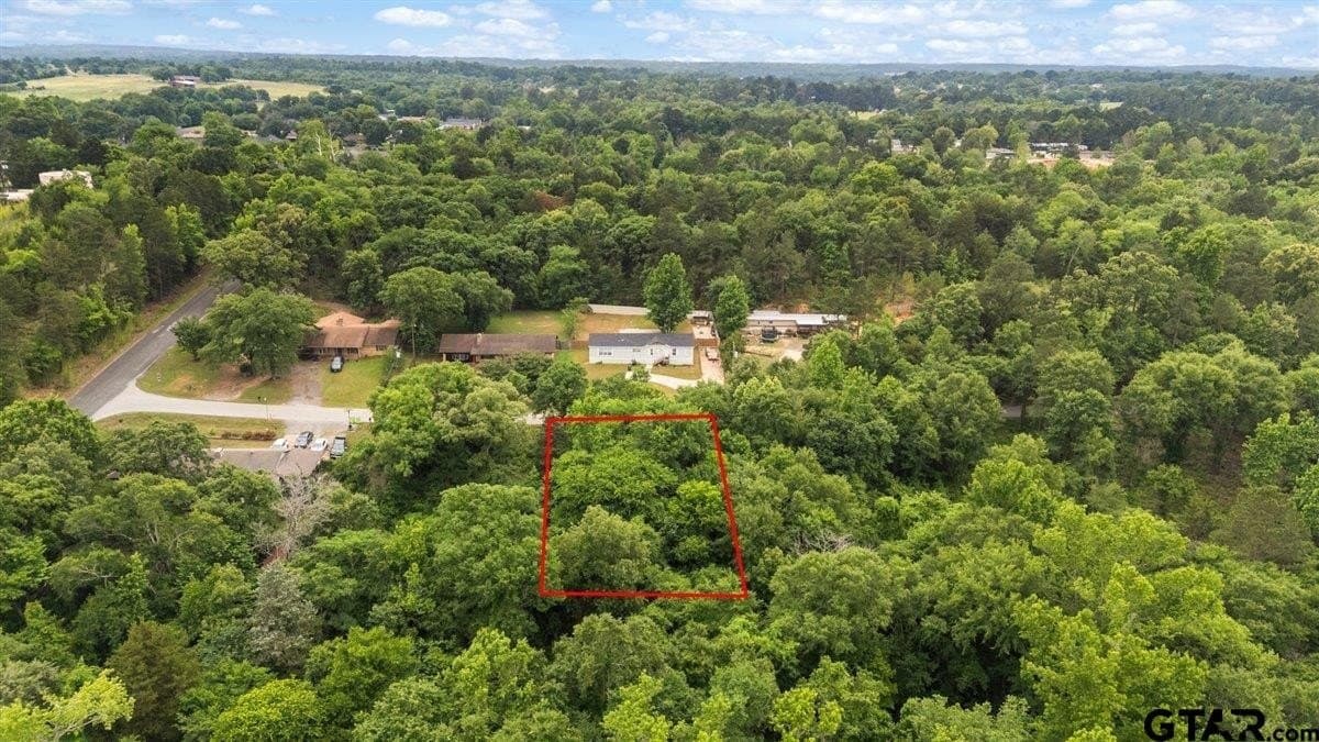 0.35 acres in Smith County gallery image 2
