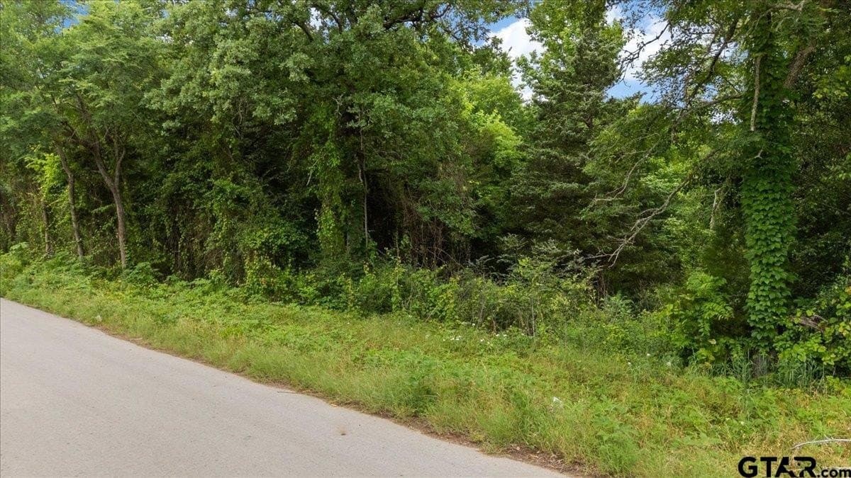 0.35 acres in Smith County - photo 7