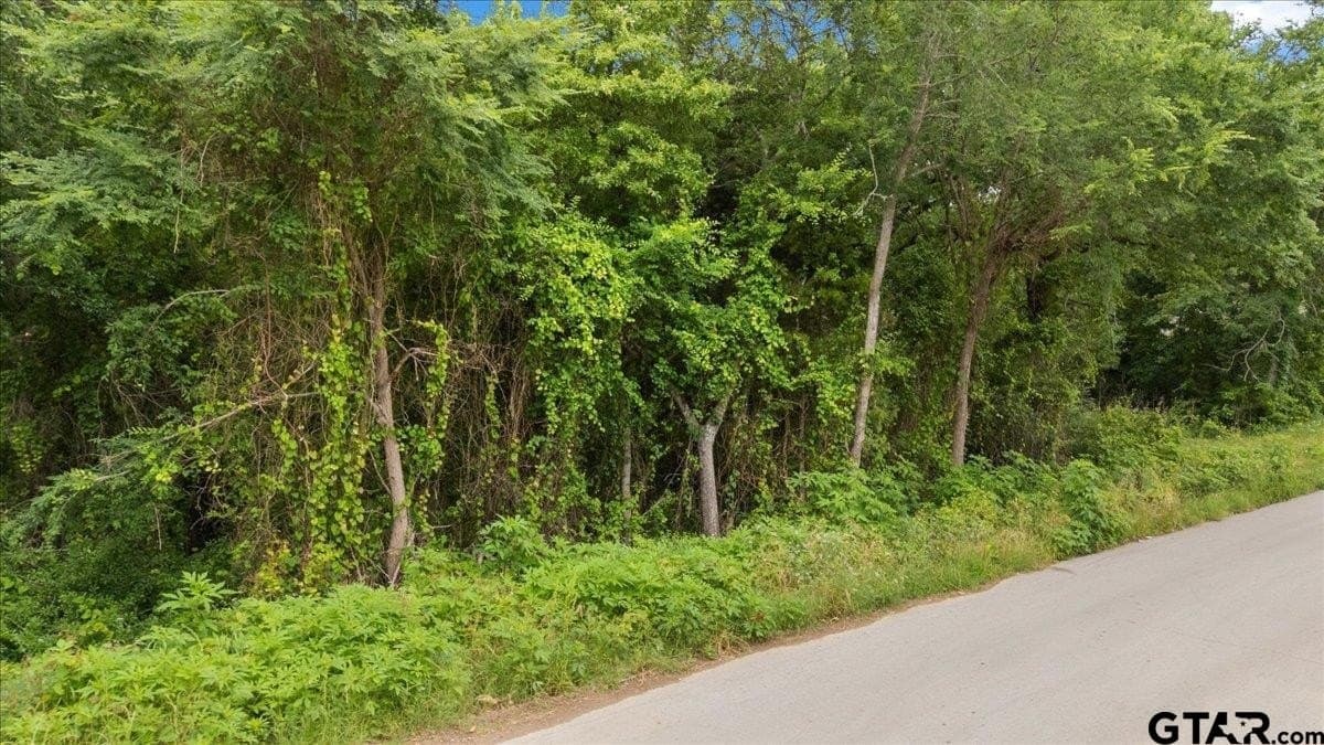 0.35 acres in Smith County featured view