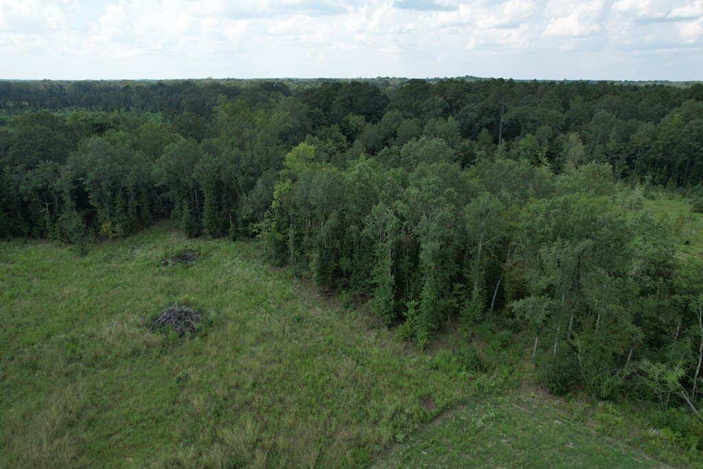 26.15 acres in Texas County gallery image 2