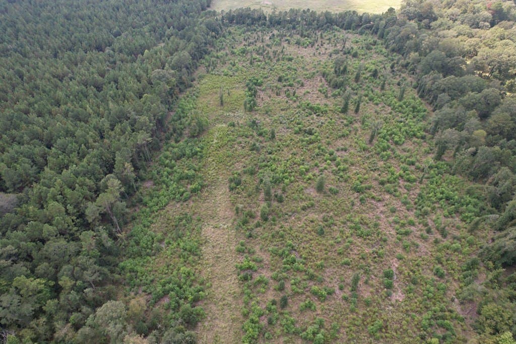 26.15 acres in Texas County gallery image 3