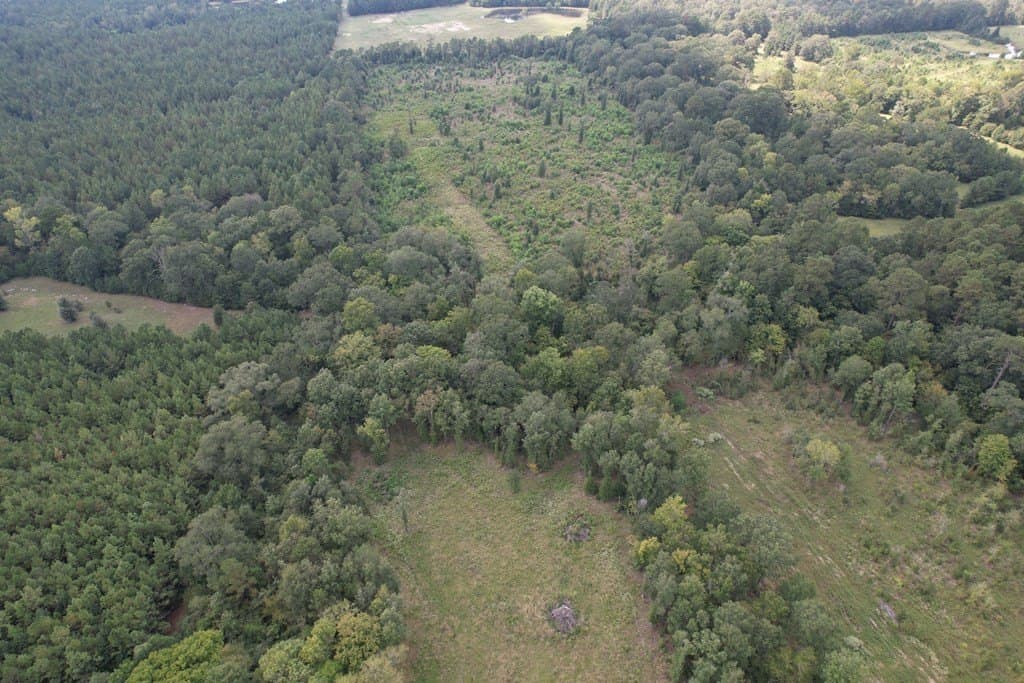 26.15 acres in Texas County gallery image 4