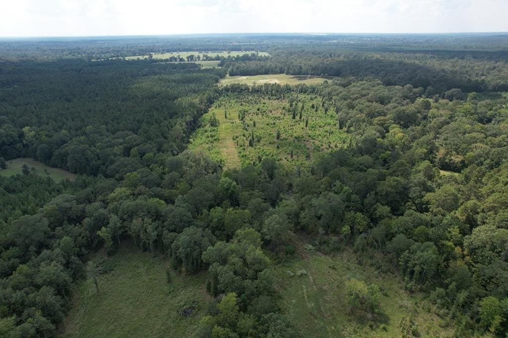 26.15 acres in Texas County