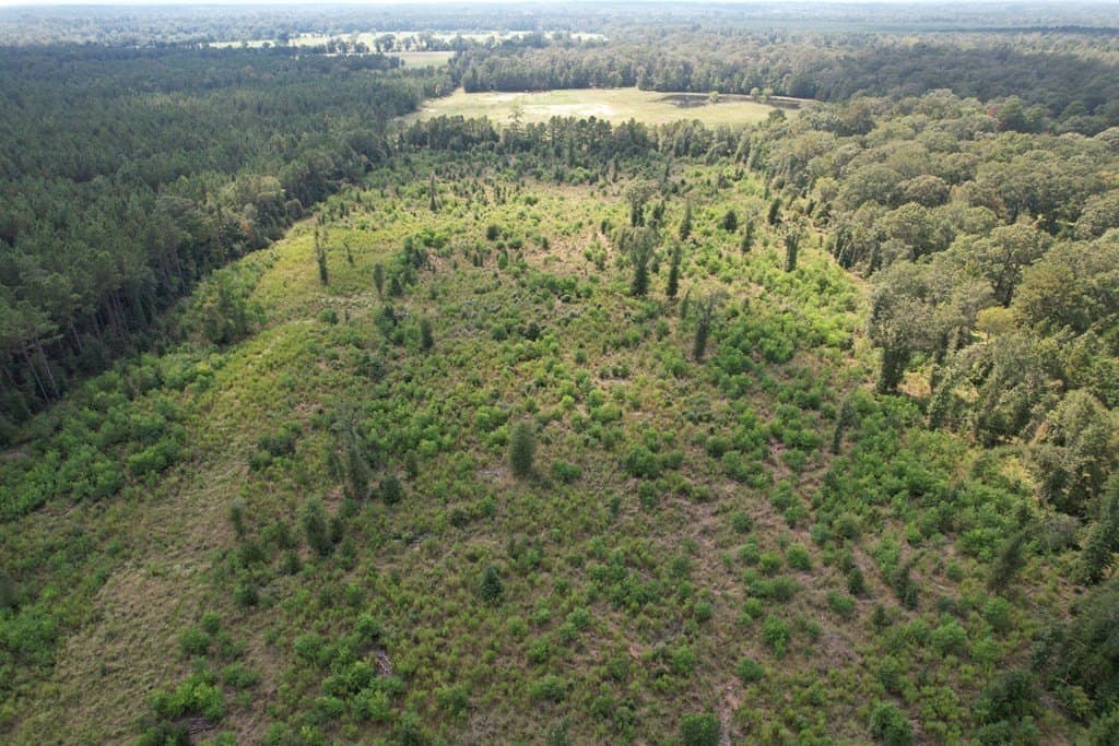 26.15 acres in Texas County featured view