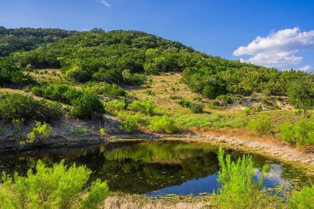 145.54 acres in Bandera County - photo 17