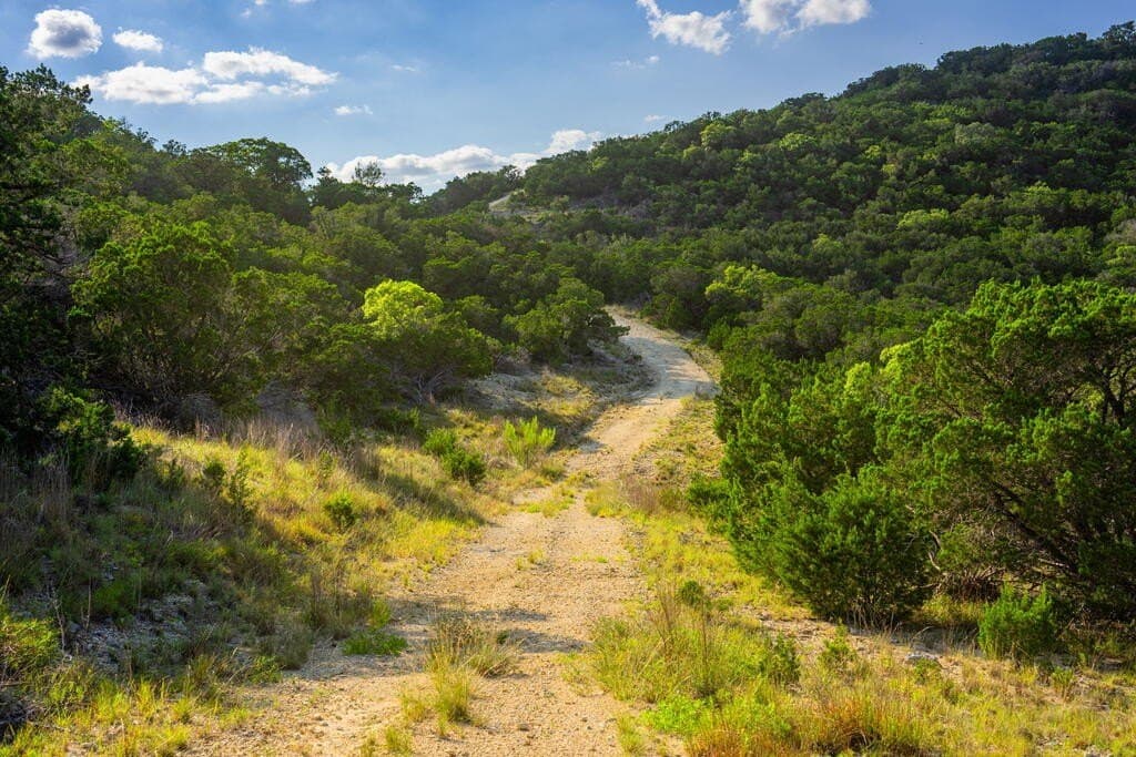 145.54 acres in Bandera County - photo 14