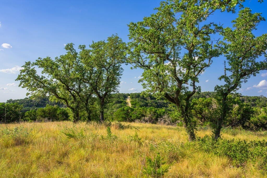 145.54 acres in Bandera County - photo 13