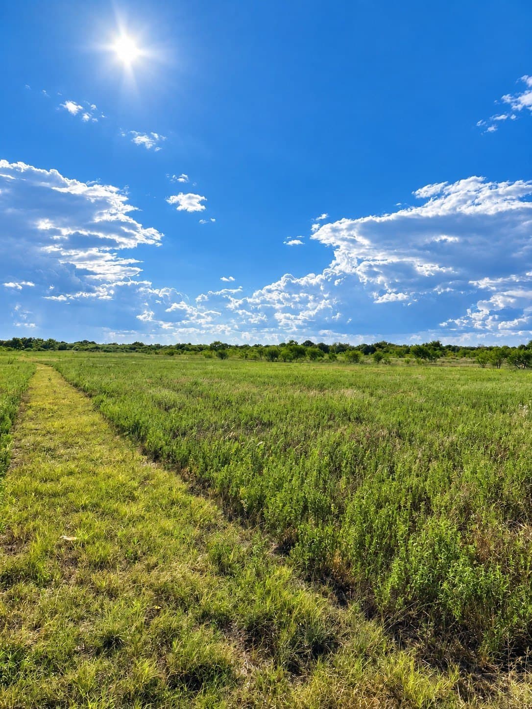 19.71 acres in Hill County - photo 4