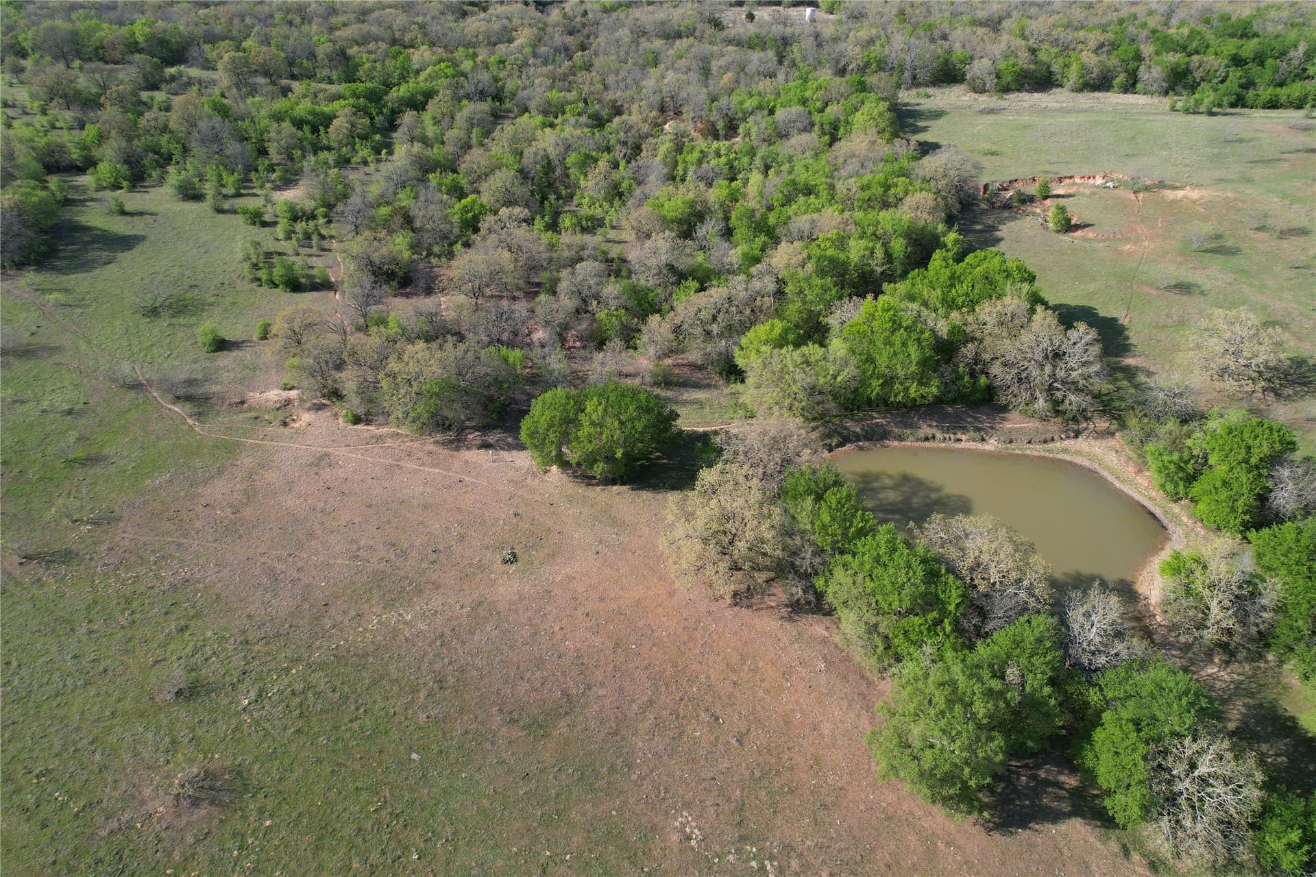 183.5 acres in Wise County - photo 11