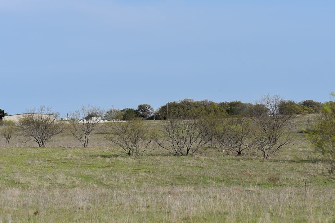 183.5 acres in Wise County - photo 24