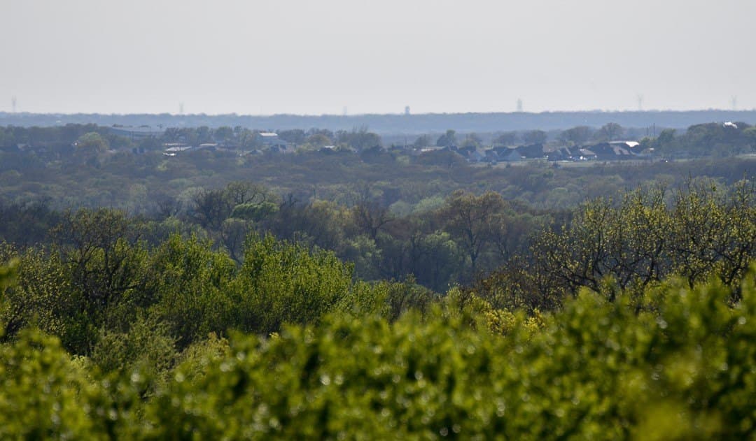 183.5 acres in Wise County - photo 22