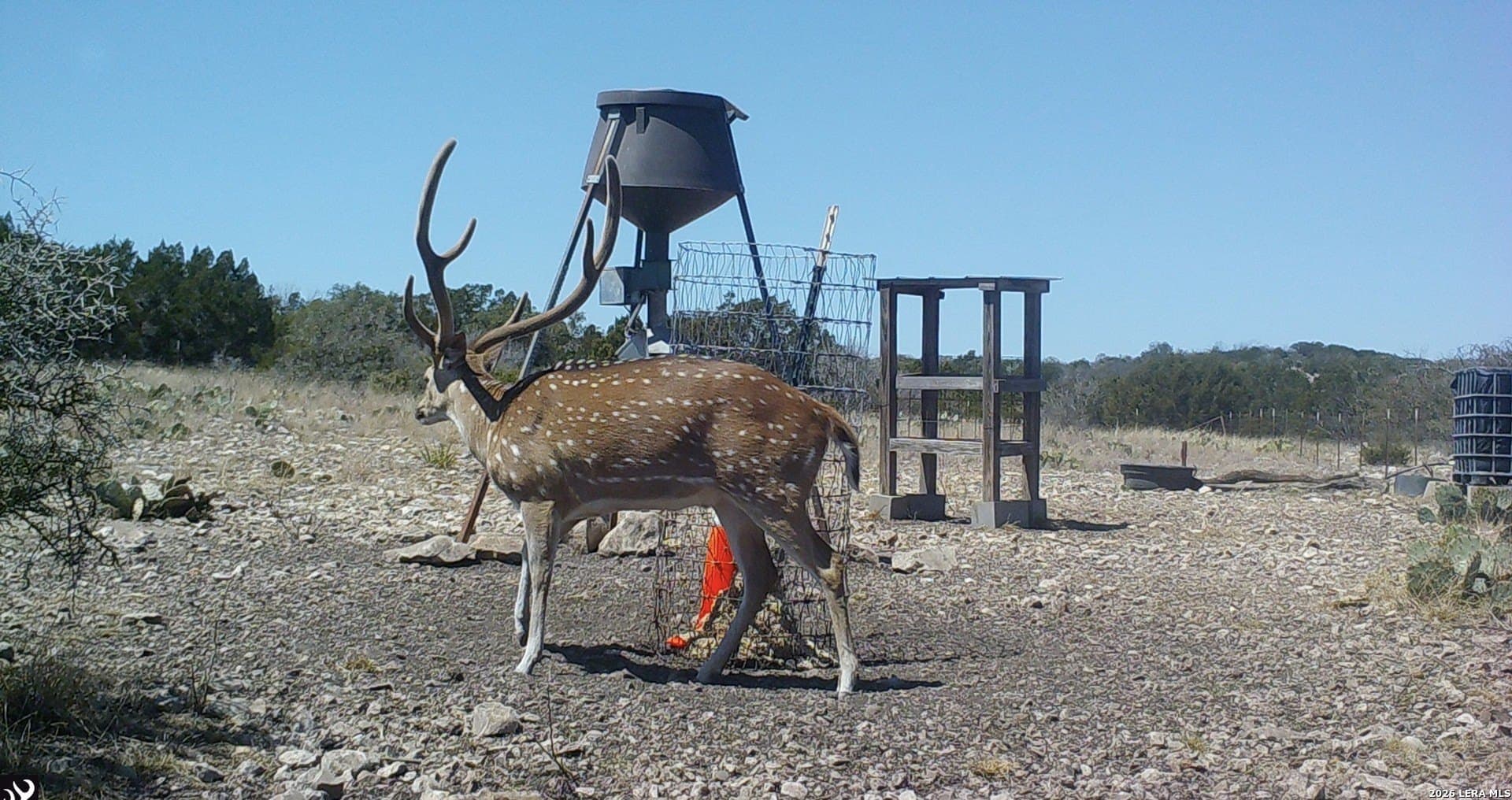 52.28 acres in Edwards County gallery image 3