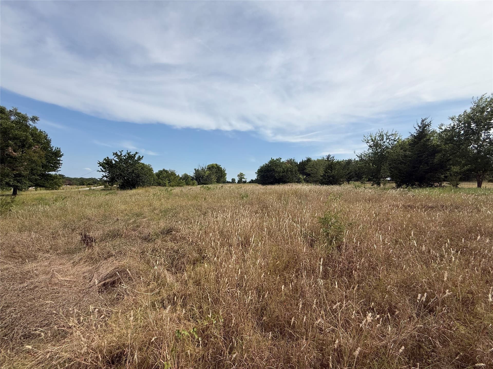 11 acres in Grayson County - photo 6