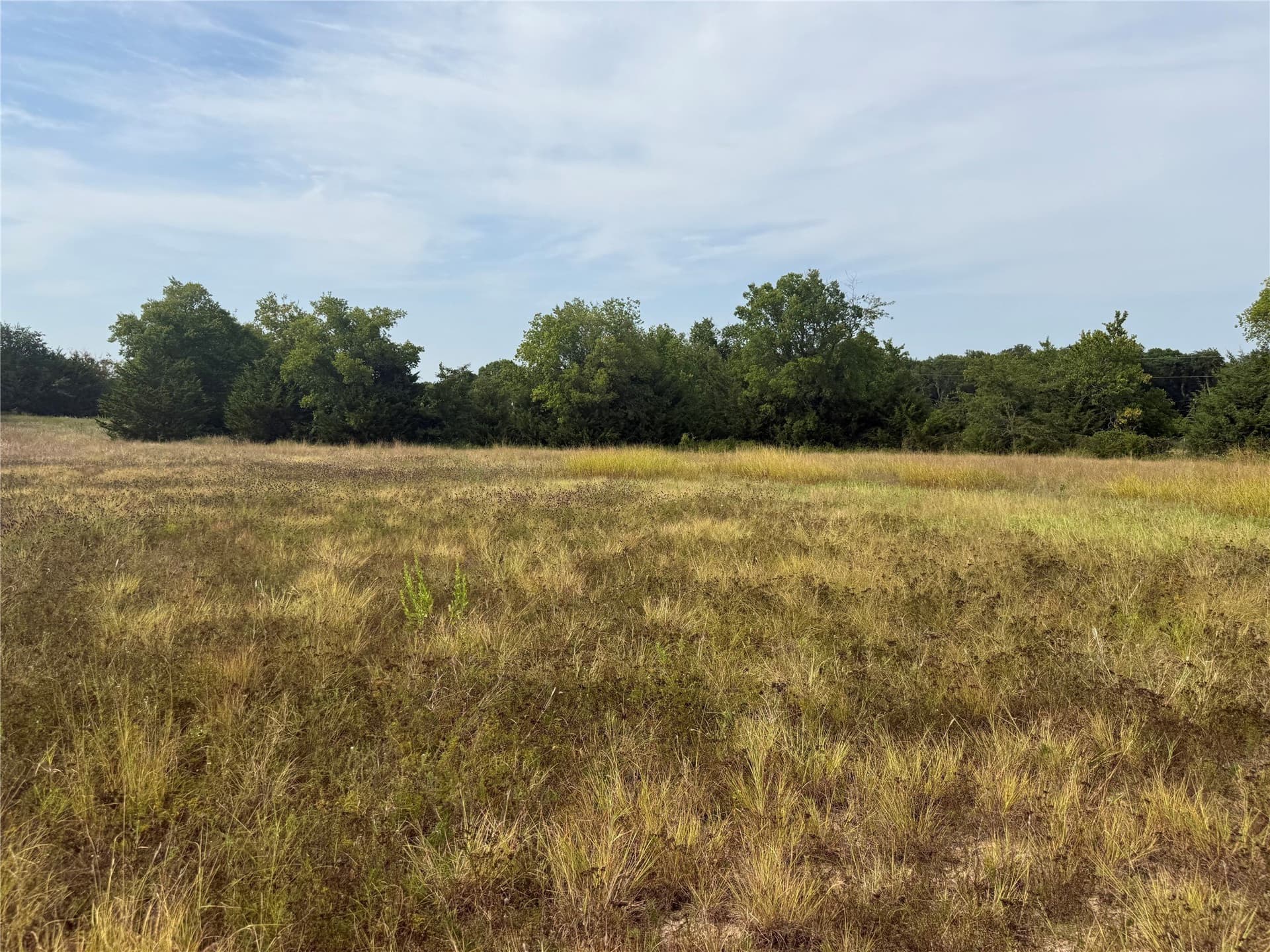 11 acres in Grayson County - photo 5