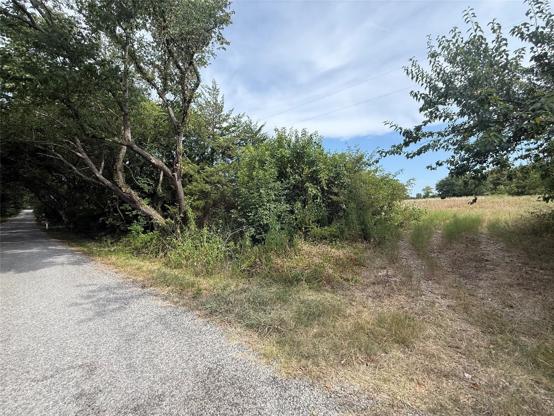 11 acres in Grayson County - photo 8