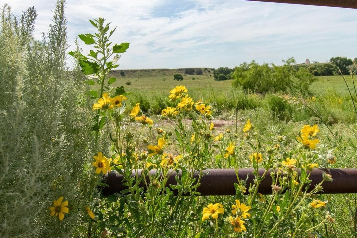 340 acres in Randall County - photo 107