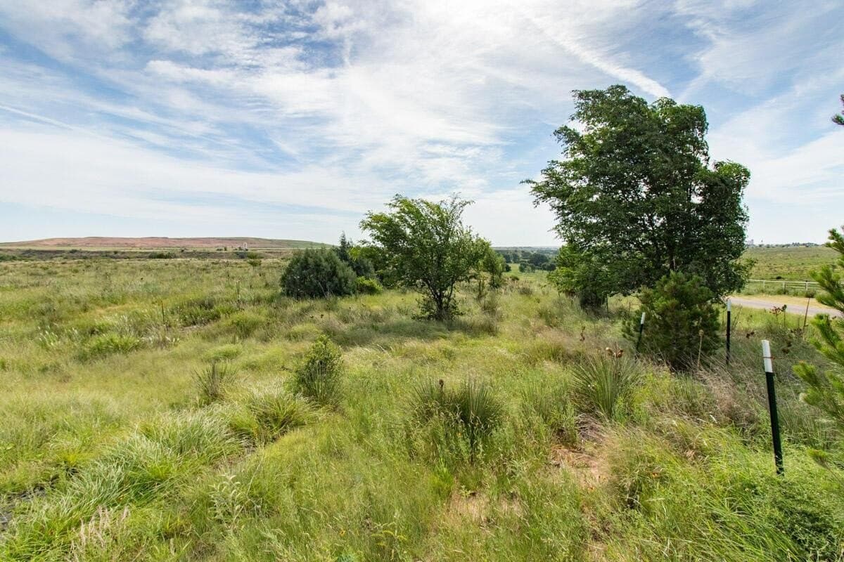 340 acres in Randall County - photo 147
