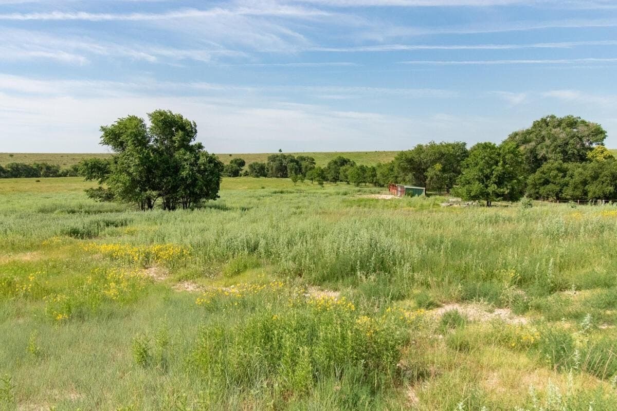 340 acres in Randall County - photo 108