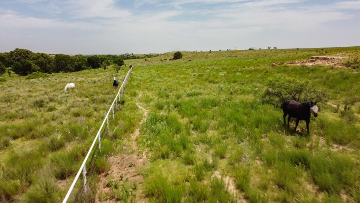 340 acres in Randall County - photo 155