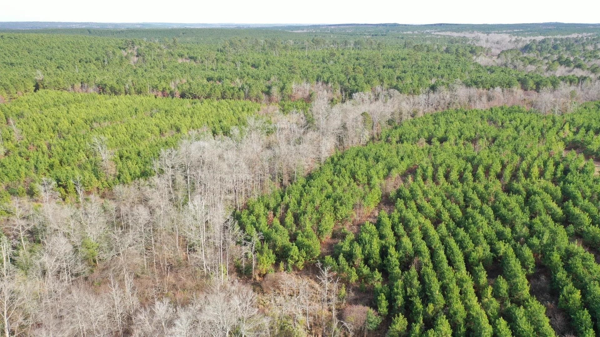 78 acres in Marion County featured view