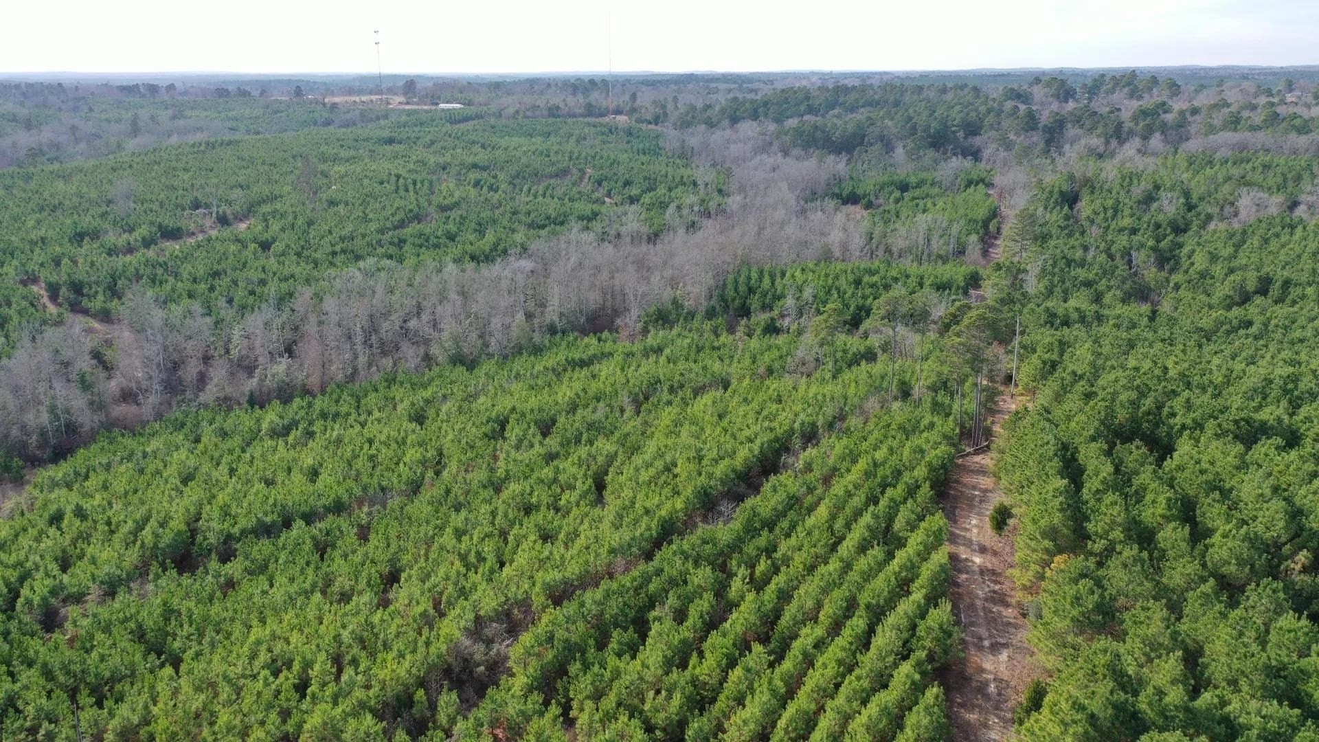 78 acres in Marion County gallery image 2