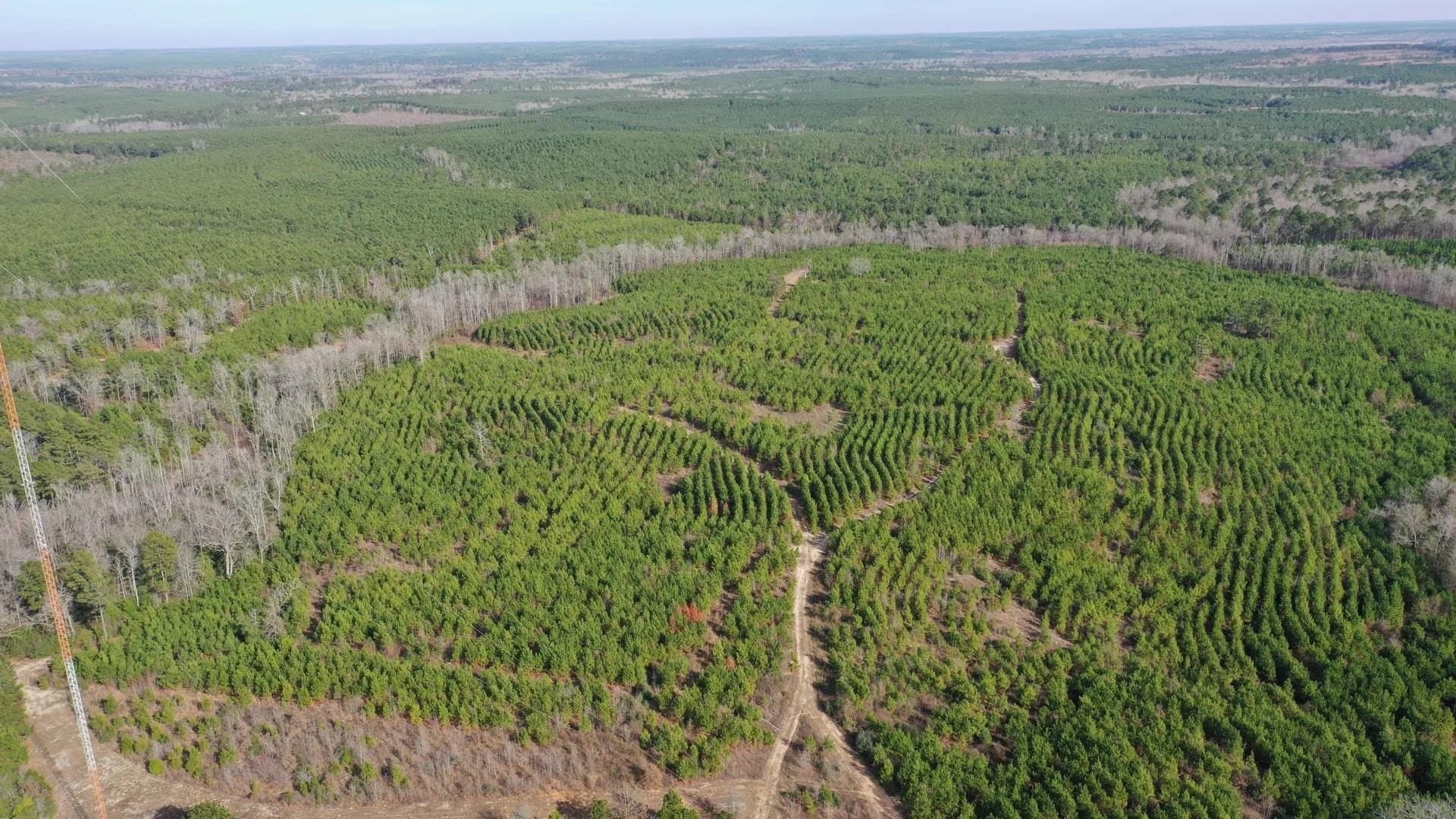 78 acres in Marion County gallery image 4