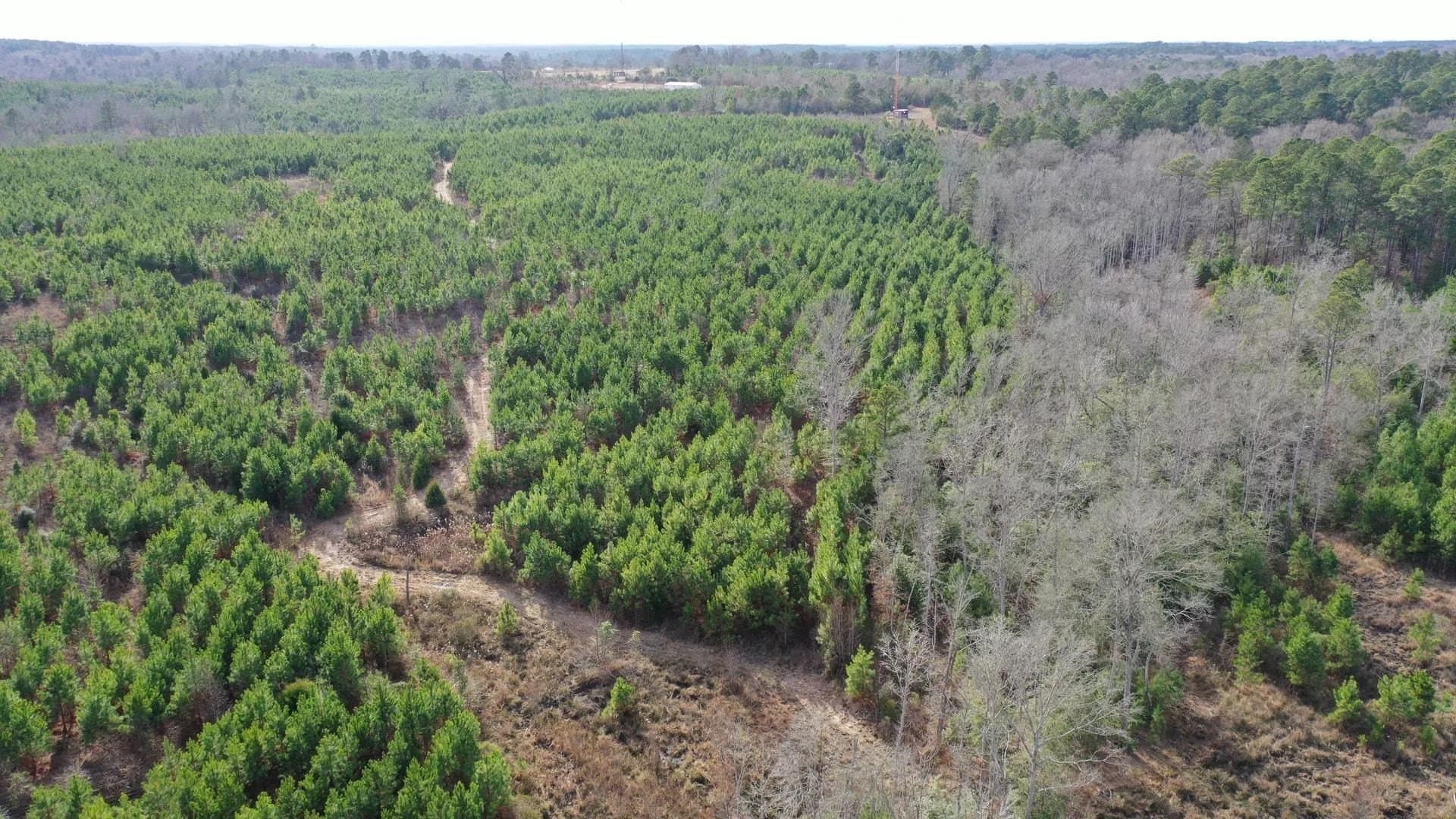 78 acres in Marion County gallery image 3