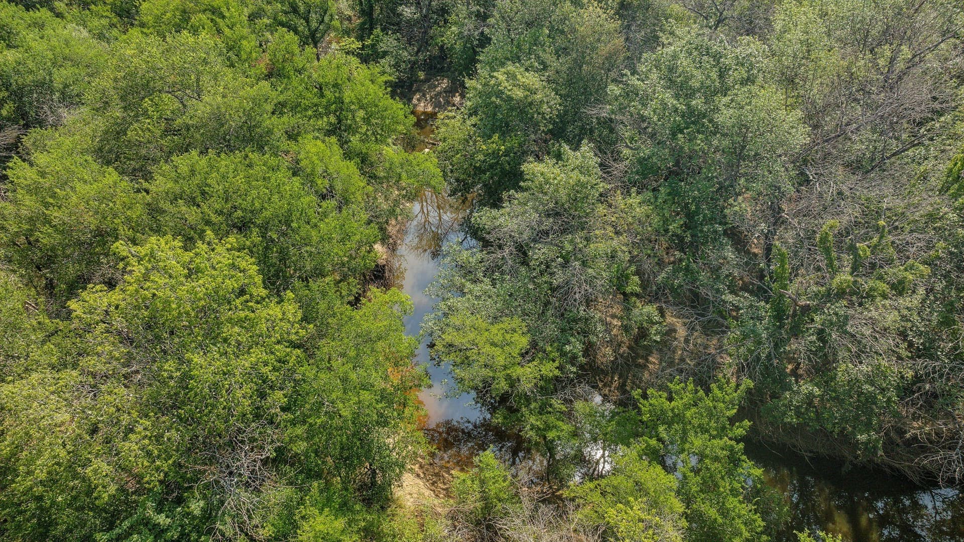 18.73 acres in Denton County - photo 4