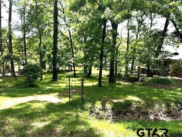 0.5 acres in Smith County gallery image 4